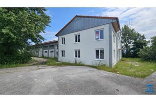 Büro zu mieten in 2700 Wiener Neustadt, Neuwertige Büro-/ Gewerbeflächen direkt an der B17 / Büro EG oder OG