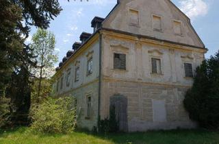 Haus kaufen in 3393 Matzleinsdorf, Historisches Schloss mit Nebengebäude zu verkaufen!!