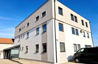 Büro zu mieten in 3100 Sankt Pölten, 30 m² bis 240 m² ALLES MÖGLICH