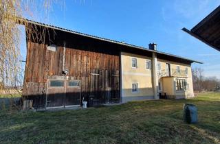 Haus kaufen in 5231 Schalchen, Grünland ca. 2,4 ha - mit Haus, Stadel und Garagen - ruhige und sonnige Lage !