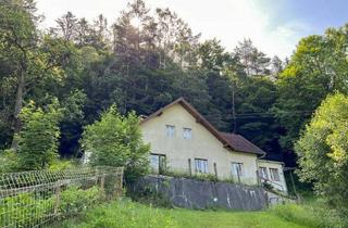 Haus kaufen in 2833 Bromberg, [06150] Wald Wiesen Bach - Haus in Bromberg/Schlatten