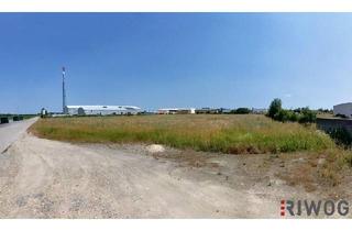 Grundstück zu kaufen in 2285 Leopoldsdorf im Marchfelde, 12.500m² Betriebsbaugrund | rechteckig ohne Altbestand |