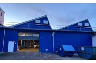 Büro zu mieten in Fabrikstraße, 3381 Golling, Büro, Lager - Halle und Außenfläche ab 20m² - 20.000 m² Golling, Fabrikstraße