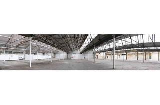 Büro zu mieten in Fabrikstraße 1-3, 3381 Golling, Lager mit 45000 m² Teilflächen möglich/ Pro m² €4 Netto