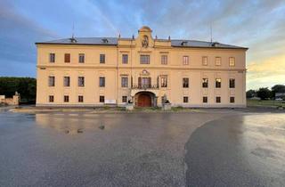 Büro zu mieten in Hubertendorf, 3372 Blindenmarkt, Blindenmarkt, Schloss Hubertendorf 1, Top 7-Büro/Ordination