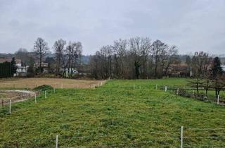 Grundstück zu kaufen in 3454 Maria Ponsee, PREISREDUKTION: SONNIGE LEBENSQUALITÄT AM LAND - BAUGRUNDSTÜCK OHNE BAUZWANG