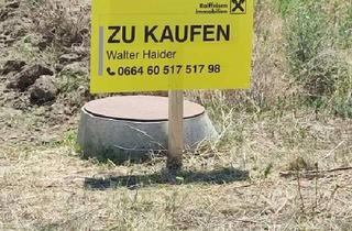 Grundstück zu kaufen in 7083 Purbach am Neusiedler See, 4 kleine Grundstücke am Stadtrand !