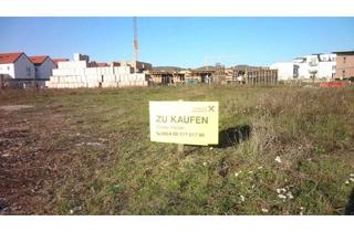 Grundstück zu kaufen in 7083 Purbach am Neusiedler See, Baugründe in Purbach!