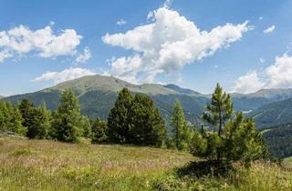 Grundstück zu kaufen in 8862 Stadl an der Mur, Baugrund mit Zweitwohnsitz - neuer Angebotspreis!
