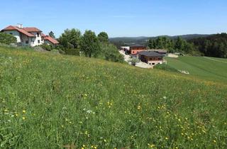 Grundstück zu kaufen in 4252 Liebenau, Baugrund in Dorfrandlage