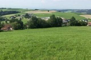 Grundstück zu kaufen in 4362 Bad Kreuzen, Baugründe "Alpenblick" - neues Baulandprojekt