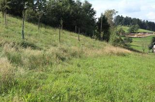 Grundstück zu kaufen in 4372 Sankt Georgen am Walde, Baugrund in Siedlungslage