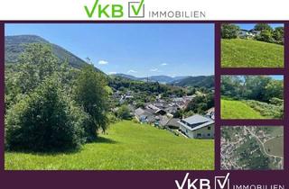 Gewerbeimmobilie kaufen in 3341 Ybbsitz, Landwirtschaftliches Grundstück Mitten im Ort-Ybssitz-Niederösterreich