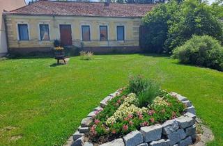 Grundstück zu kaufen in 2123 Unterolberndorf, Neuer Preis!