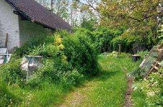Grundstück zu kaufen in 4621 Sipbachzell, Baugrund mit Altbestand