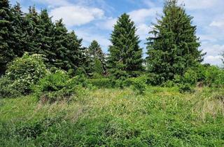 Grundstück zu kaufen in 3484 Grafenwörth, GELDANLAGE OHNE BAUZWANG MIT BAUTRÄGEREIGNUNG ODER IHR GRUNDSTÜCK FÜR EIN TRAUMHAUS IN RUHIGER SIEDLUNGSLAGE