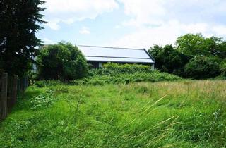 Grundstück zu kaufen in 3133 Sankt Georgen an der Traisen, BAUGRUNDSTÜCK FÜR BAUTRÄGER ODER EIGENHEIM IN SONNIGER LAGE