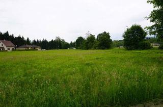 Grundstück zu kaufen in 9065 Ebenthal, Grundstück perfekt geeignet für Bauträger/Entwickler