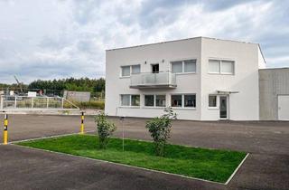 Büro zu mieten in 2752 Wöllersdorf, [06174] Erstbezug! Helles, 126m² großes Miet-Büro mit 4 Parkplätzen
