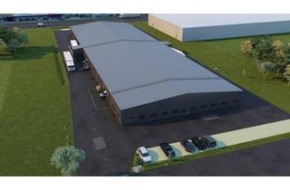 Büro zu mieten in 4063 Hörsching, Grundstück mit B Widmung- wir bauen Ihre Wunschhalle auch für LOGISTIKER