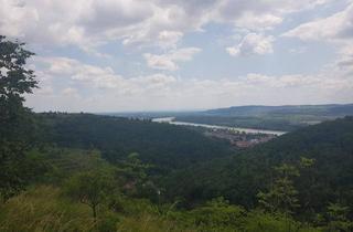 Gewerbeimmobilie kaufen in 3500 Egelsee, FREIZEITPARADIES FÜR HOBBYGÄRTNER IN EINZIGARTIGER AUSSICHTSLAGE MIT DONAUBLICK - KEIN BAUGRUNDSTÜCK!