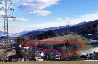 Gewerbeimmobilie kaufen in 8661 Wartberg im Mürztal, 5.500m² attraktives Freiland direkt anschließend an gewidmetes Bauland
