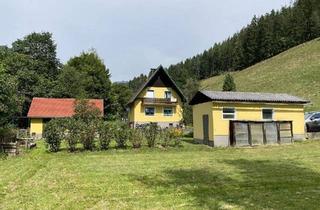 Haus kaufen in 8793 Trofaiach, Idyllisches Haus am Fuße der Eisenerzer Alpen (2364)
