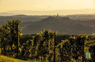 Gewerbeimmobilie kaufen in 8280 Fürstenfeld, Landgasthof mit Zimmervermietung
