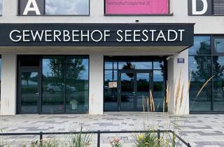 Lager mieten in Sonnenallee 122, 1220 Wien, Gewerbeflächen für Produktion auf allen Ebenen im Gewerbehof Seestadt - Top 39