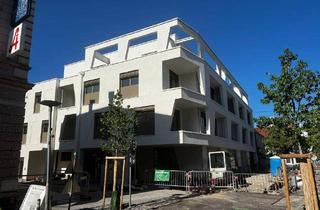 Wohnung kaufen in Heinrich-Gruber-Straße, 4050 Traun, Dachgeschoss Traum mit Rundumblick