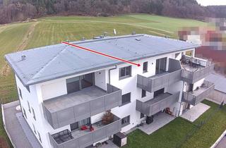 Wohnung kaufen in 5233 Pischelsdorf am Engelbach, Garconniere im Dachgeschoss mit Dachterrasse