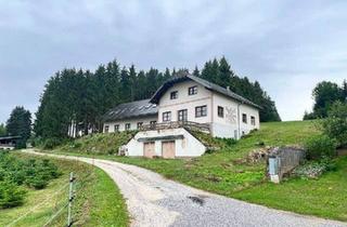 Haus kaufen in 3920 Groß Gerungs, Großzügiges Landhaus in Streusiedlungslage