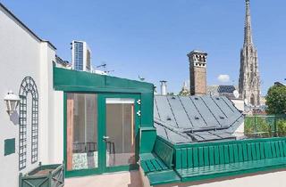 Wohnung mieten in Graben, 1010 Wien, Dachterrasse mit Stephansturmblick