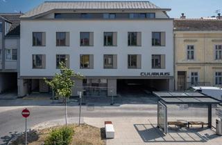 Garagen mieten in 2483 Ebreichsdorf, Mieten mitten in Ebreichsdorf