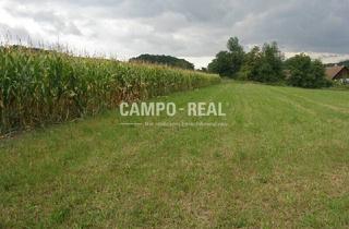 Agrarfläche kaufen in 3034 Maria-Anzbach, LANDWIRTSCHAFT: Bauernhof mit ca. 13 ha Acker - Wienerwaldregion