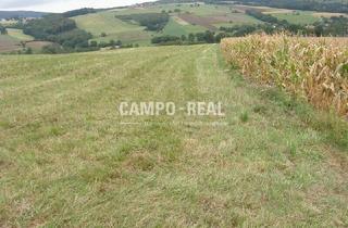 Agrarfläche kaufen in 3034 Maria-Anzbach, LANDWIRTSCHAFT: 13 ha Acker mit Wohn- und Wirtschaftsgebäude - Wienerwaldregion