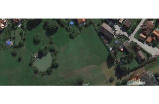 Grundstück zu kaufen in 2392 Sulz im Wienerwald, Fahnengrundstück in absoluter Grün-Ruhelage in GRUB zu kaufen!