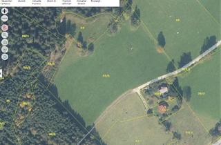 Grundstück zu kaufen in 8674 Rettenegg, Grünland für Tierhaltung - Anlage - Nachhaltigkeit