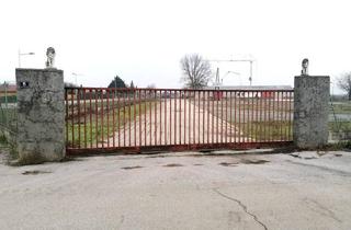 Immobilie mieten in 2440 Gramatneusiedl, SUPERCHANCE - 5000 m² Lager-/Stellfläche - auch Teilflächen - in Reisenberg zu mieten