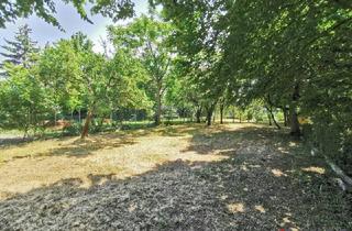 in 2103 Langenzersdorf, 522m² Garten (kein Baugrund) mitten in Langenzersdorf