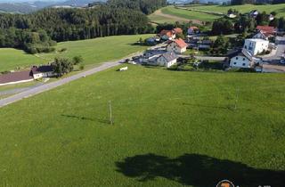 Grundstück zu kaufen in 2860 Kirchschlag in der Buckligen Welt, Wunderschöner Bauplatz mit Panoramablick!