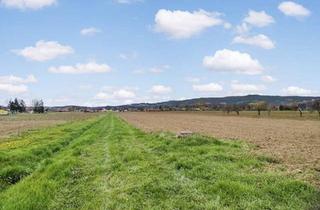 Grundstück zu kaufen in 8561 Kleinsöding, Ebenes Landwirtschaftliches Grundstück. - Zwischen Lieboch und Voitsberg.
