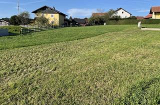 Grundstück zu kaufen in 5113 St. Georgen bei Salzburg, Traumhaftes sonniges Grundstück