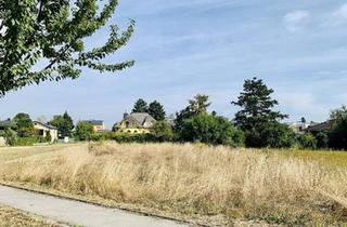 Grundstück zu kaufen in 2201 Gerasdorf, Großer Baugrund in Gerasdorf