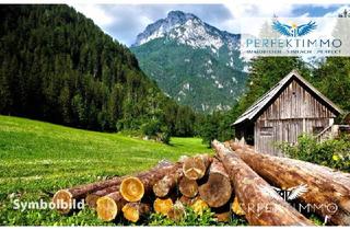Immobilie kaufen in 6471 Arzl im Pitztal, Wald- und Wiesengrundstücke in Arzl im Pitztal