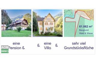 Villen zu kaufen in 9816 Napplach, Pension & Gasthof & Villa & Baugrund & Wald & Wiese