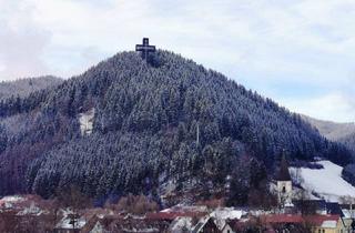 Wohnung kaufen in 8663 Veitsch, Attraktive 3-Zimmer ETW im sanierten Mehrfamilien-Wohnhaus - ruhige Lage