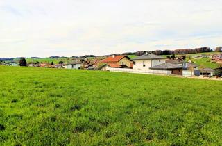 Grundstück zu kaufen in 5165 Berndorf bei Salzburg, Baugrundstück Familienglück für ein Doppel- oder Einfamilienhaus
