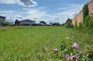 Grundstück zu kaufen in 8431 Gralla, AUFGEPASST! PREISREDUZIERUNG! Schönes Baugrundstück Nähe Leibnitz in der begehrten Wohngemeinde GRALLA zu verkaufen!