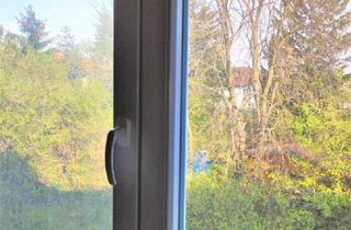 Einfamilienhaus kaufen in 2100 Korneuburg, Großes Einfamilienhaus mit Geschäftslokal und Garten auf Pachtgrund
